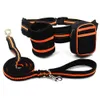 Pet Dog Cat Running Jogging Padded midjebälte Reflective Strip Elastic Leash Perfekt Walking Training Set Hands Free 5 LJ201113