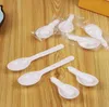 5000pcs Disposable Plastic White Scoop Folding Spoon Ice Cream Pudding Scoop With Individual Package SN5118