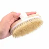 Poils de sanglier naturels bain masseur brosse en bois ovale douche bain brosses exfoliant Massage SPA corps brosse