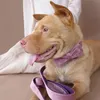 الكلب طوق الرصاص صغيرة متوسطة كبيرة جرو الحيوانات الأليفة طوق bowknot ربطة الدائمة مشبك معدن المشي الكلاب المقود الرصاص النايلون 1