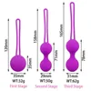 Nxy Eggs Pelota De Kegel Para Entrenar Los Msculos La Vagina Mujer Juguetes Sexo Ntimo Bolas Vaginales Chinas Productos Adultos 1224