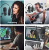 Podcast PC Mikrofon, LP Gaming Streaming Kayıt Stüdyosu Mikrofon Seti, 192KHz / 24bit USB Fiş Oynat Kardiyoid Kondenser PC MIC