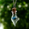 Gedroogde bloemkegel wensen flessen kettingen vrouwen glazen planten kettingen mode sieraden cadeau