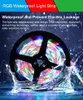 RGB Led Strip Light 5V USB Neon Ribbon EU US Plug Retroilluminazione TV Luci RGBW Nastro per lampada per decorazioni natalizie