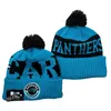 Carolina13Panthers13Beanie Cap knitted hat sports team baseball football basketball cap women039s men039s gorro bonnet6113428