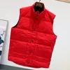 Down Jacket Vests Keep Warm Mens Stylist Winter Fashion Men and Women Outerwear Thicken Outdoor Coat Essential Cold Protection Size S-2XL Rockar Flera färg