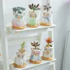 フラワーポットミニセラミックフクロウ多肉植物植物コンテナ鍋の花プランター庭用品家の装飾アクセサリー