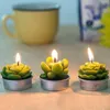 12 pz/set decorazioni per la casa cactus candela da tavolo tea light giardino mini candele di cera verde per la decorazione di compleanno di nozze Y200531