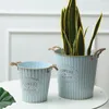 Planteurs Pots Vintage Old Tin Flower Bucket Flower Shop Arrangement