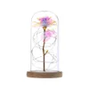 Incantato per sempre fiore rosa lamina d'oro fiore rosa LED fiori artificiali leggeri in cupola di vetro decorazioni per feste regalo per ragazze Y12447