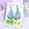 Decorative Flowers & Wreaths 1Set Mixed Pressed Dried Daisy Flower Leaves Filler For Epoxy Resin Jewelry Making Postcard Frame Phone Case Cr