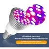 Discount Phyto Lamps Full Spectrum E27 Led Plant Light Grow Lamp E14 Led For Plants 18W 28W Fitolampy Greenhouse Tent Bulbs UV IR