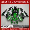 kawasaki 닌자 Ex250 ZX250 r 예전 ZX 250R ZX-250R 2008-2012 81NO.80 EX-250 ZX250R 2008 2009 2011 2012 EX250R 08 09 10 11 12 주입 페어링 그린 블랙 블크