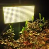 300W Quadratisches Vollspektrum-LED-Wachstum-Lichter Weiß Kein Geräusch-Pflanzenlicht Großer Bereich der Beleuchtung CE FCC ROHS