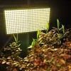 300W carré spectre complet Led élèvent des lumières blanches aucune lumière de plante de bruit grande zone d'éclairage CE FCC ROHS