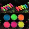 6 Farben Nagel-Acrylpulver Blau Rot Nail Art Fluoreszierender Zucker Wollpulver DIY-Tipps zum Dekorieren von Nail-Art-Zubehör 15006101