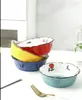 Hand-painted flower Dinnerware Sets shaped baking ceramic bowl. Noodle bowls creative lovely household rice dish fruit salad tableware