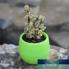 5pcs Flower Pots Decorativ Nursery Pots For Succulents Decor Plants Desktop Flower Pots Beautiful Elegant Office Decoration