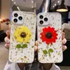 Capas de TPU macias de folha prensada seca de girassol real para iphone 15 14 Plus 13 Pro MAX 12 11 XR XS X 8 7 6 Moda Flor Confetti Lantejoulas Transparente Transparente Pele de capa traseira