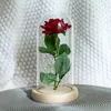 Romantische Eeuwige Roos Bloem Glas Cover Schoonheid en Beest LED Batterij Lamp Verjaardag Valentijnsdag Moeder Gift Woondecoratie T200903