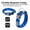 Truelove Pet Dog Collar Nylon Training Running Pet Designer Colliers pour chiens Sangle réfléchissante Pitbulls Collerette Chien Confortable LJ201112