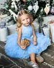 Hellblaues Tutu-Kleid für Blumenmädchen 2022, Neckholder, knielang, Prinzessin, Baby-Festzug-Kleider, bauschig, Erstkommunion, Geburtstag, formelle Partykleidung, ärmellose Schärpe
