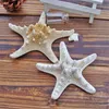 Estrela do mar Ocean Mar Mar Natural Parte de Casamento Tropical Parede Home Decoração Venda Quente 2 6qm UU