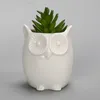 YeFine Pot de fleurs en céramique créatif planteur bonsaï Pots de Jardin jardinières Jardin bonsaï bureau Pot de fleur succulente Pots d'animaux mignons Y20197S