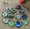 Craft Tools DIY accessories crystal gutta percha glass patch time gem peacock feathers. Clothing decoration Doll eye decorations