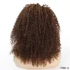 Kinky Curly Synthetic Lacefront Wig Natural Color Symulacja Ludzkich Włosów Koronki Frontowe Peruki dla kobiet 1988-6