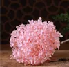 Natuur Vers Behoud Anna Decoratieve Bloemen Kransen Hydrangea Branch16-18 CM Hoofd, DIY Huwelijk Floral, Bruiloft Boeket Gift Eternelle Rose Decor