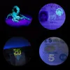 9LED 365nm lumière UV lampe de poche LED torches ultraviolettes pour animal de compagnie chat chien urine Scorpion détecteur lampe