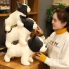 Bonito buldogue francês brinquedo de pelúcia sentado pose mascote sombras cão boneca de pelúcia para crianças gift1391356