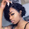 pixie cut wig with lace closure