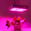 Hot selling 600W Dual Chips 380-730nm Full Light Spectrum LED Plant Growth Lamp White high quality Grow Lights