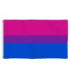 DHL GAY Vlag 90x150cm Rainbow Things Pride Biseksueel Lesbische PansExual LGBT-accessoires Vlaggen CPA4205