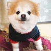Hundekleidung Ich liebe Mutter Wintermantel Haustierjacke Welpe Chihuahua Hunde Kleidung f￼r Kleidung1