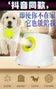 Cheapest Dog pet toys Tennis Launcher Automatic throwing machine pet Ball throw device 369m Section emission with 3 balls4654834