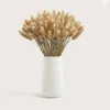 30 Stems Pampas Grass Dried Flower Bunny Tail Natural Plants Floral Rabbit Grass Bouquet Home Decoration Accessories Y1128