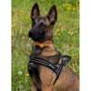 Truelove Yumuşak Örgü Yastıklı Naylon Köpek Kablo Demeti Yansıyıcı Güvenlik Köpek Yaka Kolay Pet Kablo Demetine Koy Bir% 24 İndirim 5 Renk 201101
