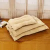 Winter Warm Dog Bed Mat Thicken Pet Cushion Blanket Puppy Cat Fleece Beds For Small Large Dogs Cats Pad 201124