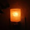 Utsökt Cylinder Natural Rock Salt Himalaya Night Light Lamp Air Purifier med träbotten Amber Light