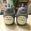 Noverlty Nette Cartoon Totoro Tragbare Thermosflasche Kreative Anime Termos Tasse und Becher Glas Vakuum Flaschen Flasche Dropshipping 201029