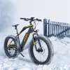 2021 Cool E-bike Falcon Snowmobile Snelheid met LCD-scherm 5 PAS Electric Bike 48V 13AH 624W Sterke Li-ionbatterij met Long Endurance