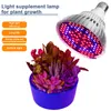LED Grow Light Full Spectrum 30W/50W/80W E27 LED屋内水耕栽培の花の植物成長ランプの成長電球