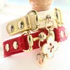 Кожаный воротник кожаная поводка собаки Премиум настоящая телячья кожа Goldplated Buckle Red Lizard White Litchi Pattern Cat Accessories 201101