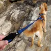 Truelove Dog Leash Training Nylon Rope Pet Dog Leashes Soft Handle Walking Running Dogs Smycz na średnie Duże psy Dostawy LJ201111