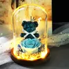 New Teddy Bear Rose Flowers In Glass Dom Light Festival Flowers Home Wedding Decoration Birthday Valentine's Day Flower Gifts