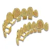 Hip Hop Grillz Street Fashion Luxury Multicolor Bling Zircon Micro Paved Teeth Braces Wholesale 18K Gold Plated Dental Grills LP028