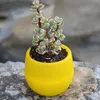 fatchan Jardinage Petite Pépinière Colorée Fleur Planteur Jardin Décor Plante Succulente Pots En Plastique Accueil Jardinières Fournisseur BH4430 TQQ